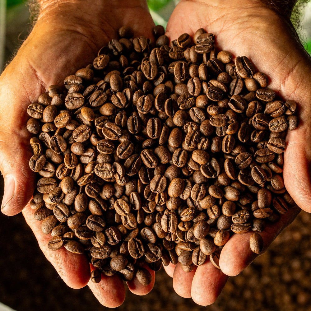 Rancher's Reserve Dark Roast - Peaberry